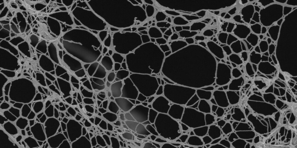 Natural color booster